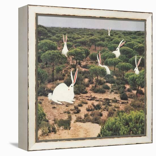 Hide and Peek-Danielle Kroll-Framed Premier Image Canvas