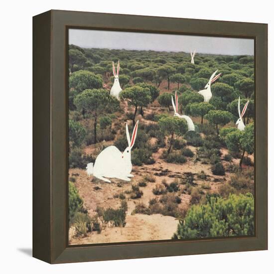 Hide and Peek-Danielle Kroll-Framed Premier Image Canvas