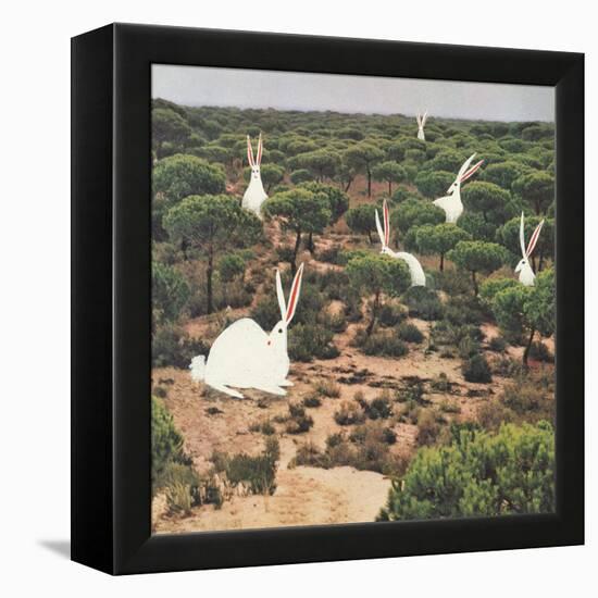 Hide and Peek-Danielle Kroll-Framed Premier Image Canvas