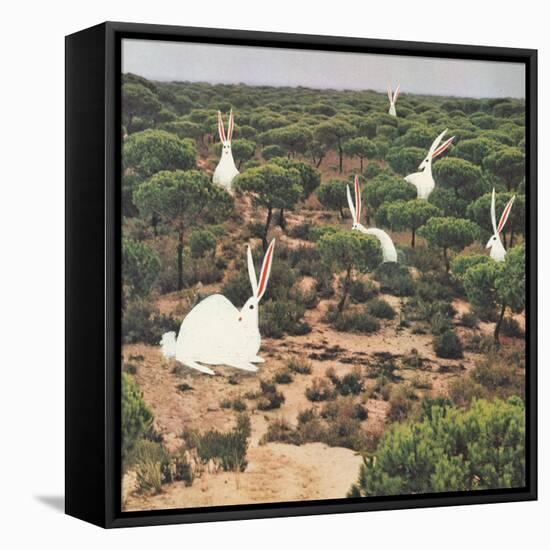 Hide and Peek-Danielle Kroll-Framed Premier Image Canvas