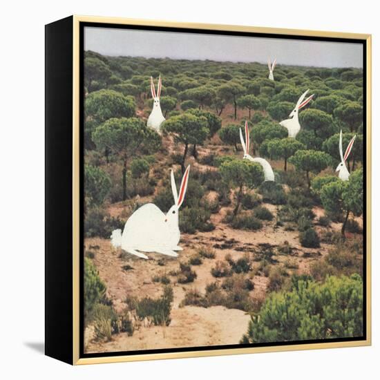 Hide and Peek-Danielle Kroll-Framed Premier Image Canvas