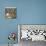 Hide and Peek-Danielle Kroll-Premium Giclee Print displayed on a wall