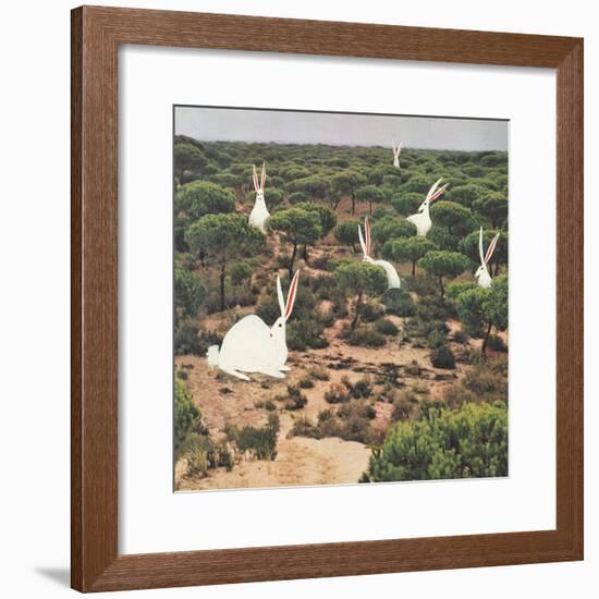 Hide and Peek-Danielle Kroll-Framed Giclee Print