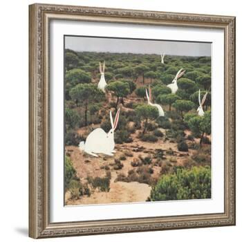 Hide and Peek-Danielle Kroll-Framed Giclee Print