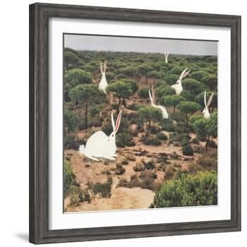 Hide and Peek-Danielle Kroll-Framed Giclee Print