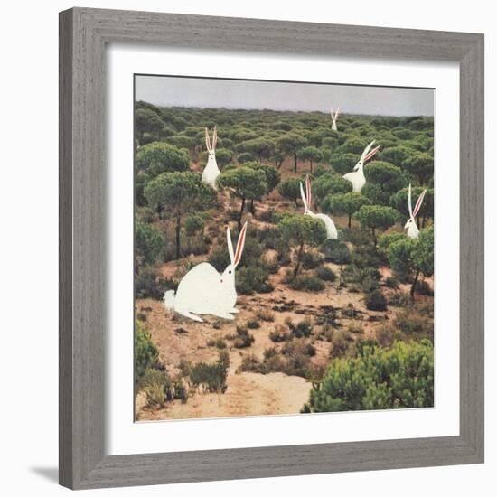 Hide and Peek-Danielle Kroll-Framed Giclee Print