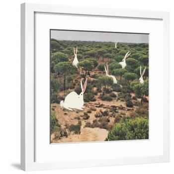 Hide and Peek-Danielle Kroll-Framed Giclee Print
