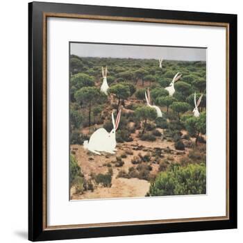 Hide and Peek-Danielle Kroll-Framed Giclee Print