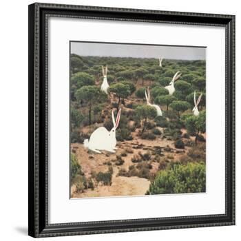 Hide and Peek-Danielle Kroll-Framed Giclee Print