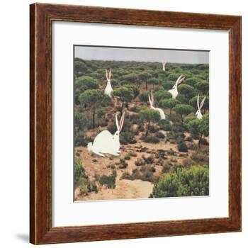 Hide and Peek-Danielle Kroll-Framed Giclee Print