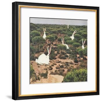 Hide and Peek-Danielle Kroll-Framed Giclee Print