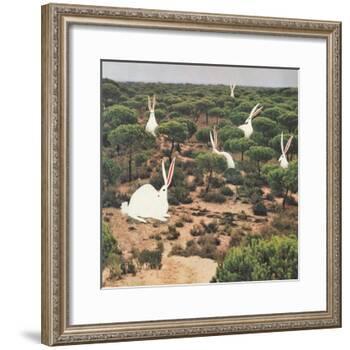 Hide and Peek-Danielle Kroll-Framed Giclee Print