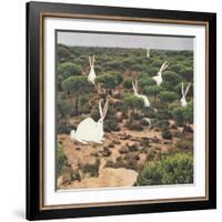 Hide and Peek-Danielle Kroll-Framed Giclee Print