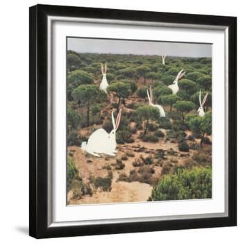 Hide and Peek-Danielle Kroll-Framed Giclee Print