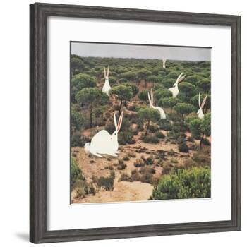 Hide and Peek-Danielle Kroll-Framed Giclee Print