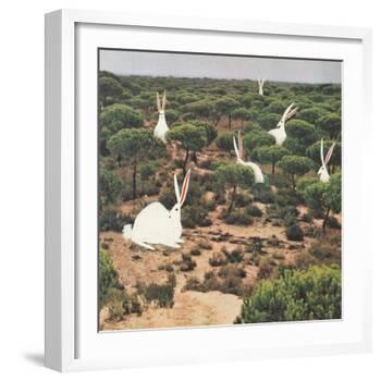 Hide and Peek-Danielle Kroll-Framed Giclee Print