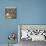 Hide and Peek-Danielle Kroll-Mounted Giclee Print displayed on a wall