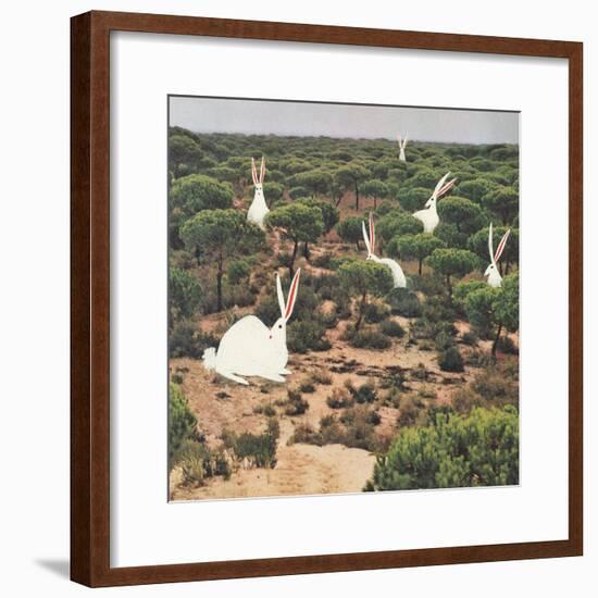 Hide and Peek-Danielle Kroll-Framed Giclee Print