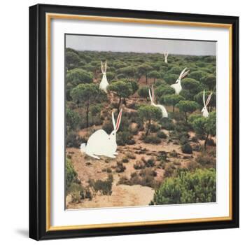 Hide and Peek-Danielle Kroll-Framed Giclee Print