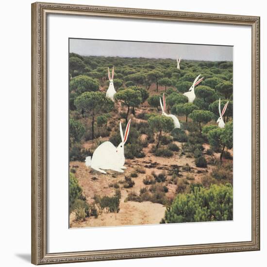 Hide and Peek-Danielle Kroll-Framed Giclee Print