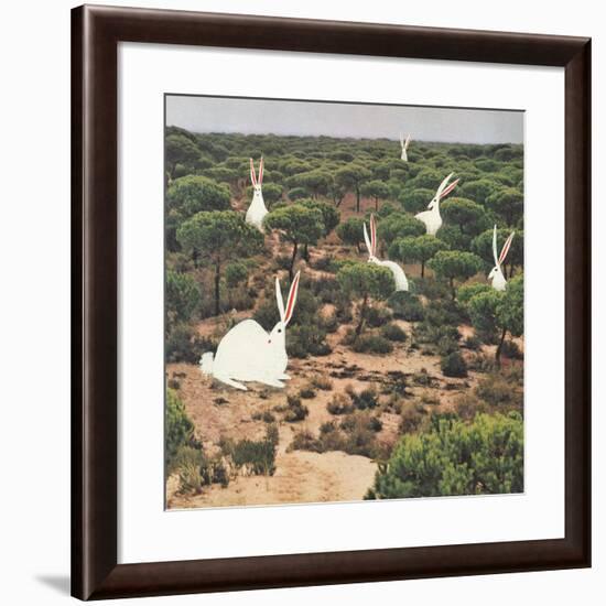 Hide and Peek-Danielle Kroll-Framed Giclee Print