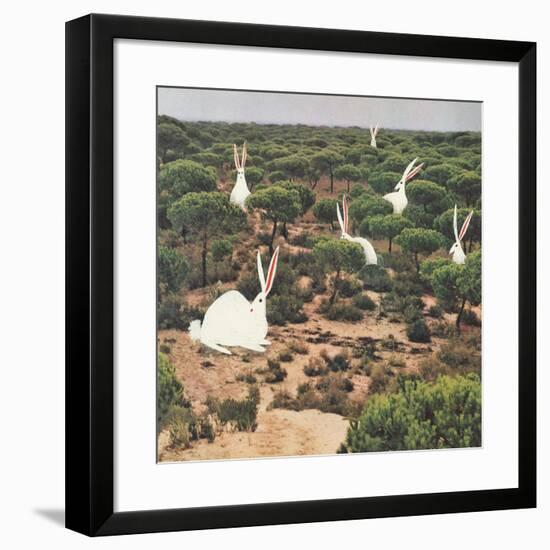 Hide and Peek-Danielle Kroll-Framed Giclee Print