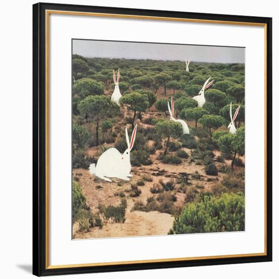 Hide and Peek-Danielle Kroll-Framed Giclee Print