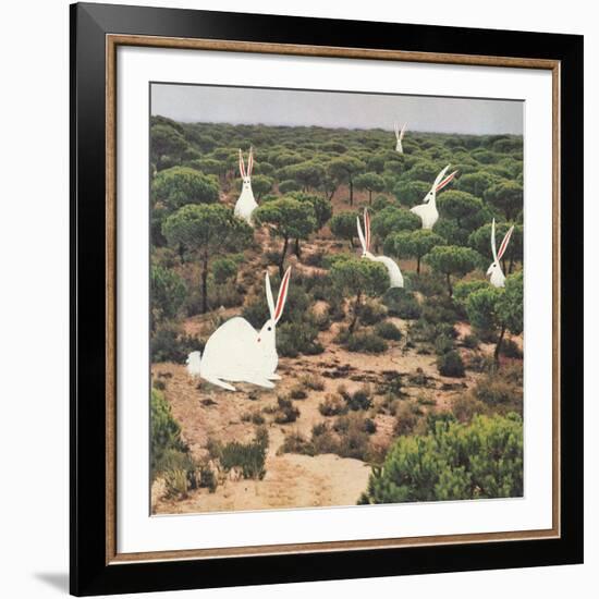 Hide and Peek-Danielle Kroll-Framed Giclee Print