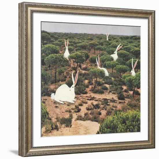 Hide and Peek-Danielle Kroll-Framed Giclee Print