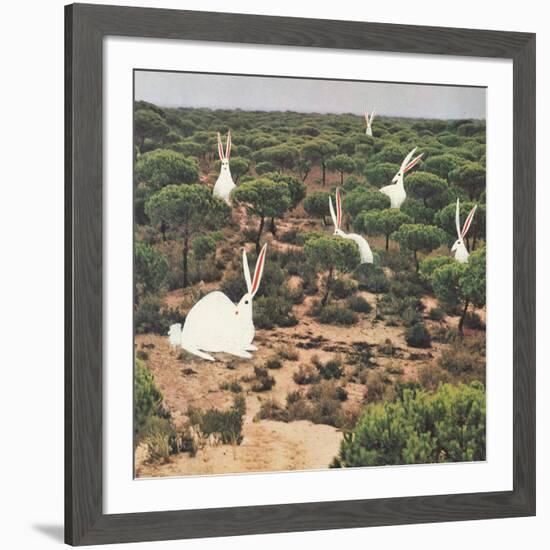 Hide and Peek-Danielle Kroll-Framed Giclee Print