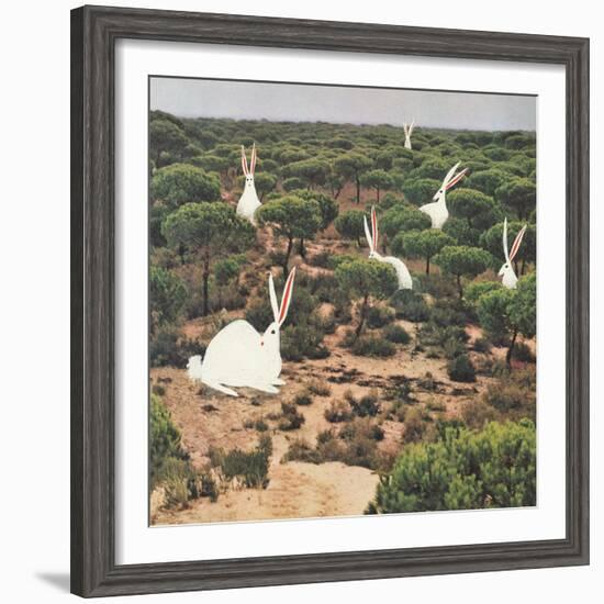 Hide and Peek-Danielle Kroll-Framed Giclee Print