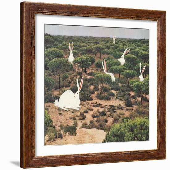 Hide and Peek-Danielle Kroll-Framed Giclee Print