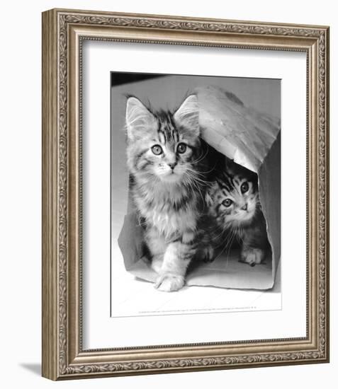 Hide and seek-Vikki Hart-Framed Art Print