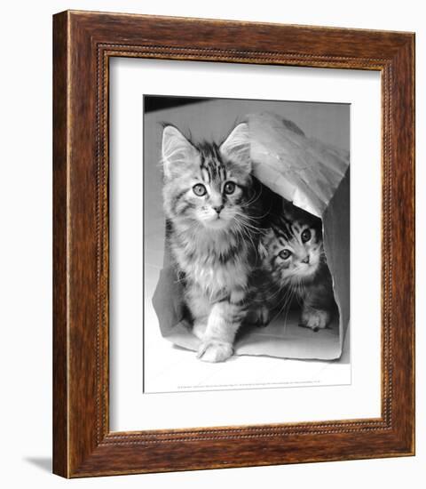 Hide and seek-Vikki Hart-Framed Art Print