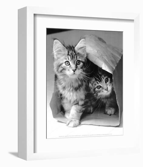 Hide and seek-Vikki Hart-Framed Art Print