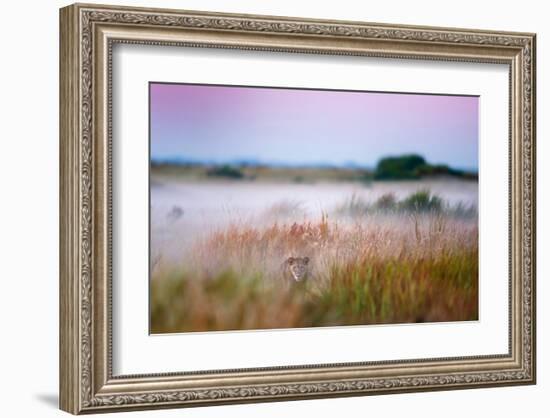 Hide and Seek-null-Framed Art Print