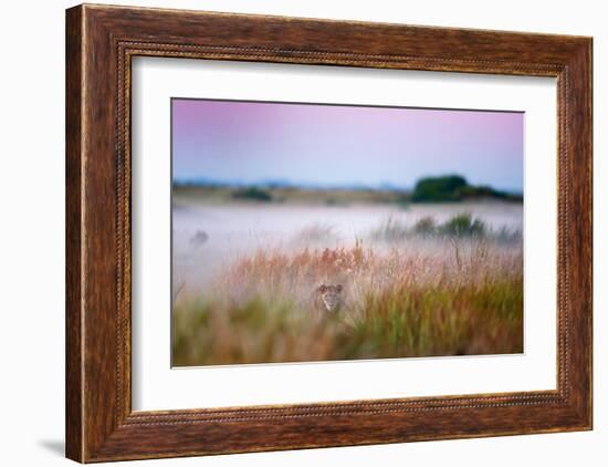 Hide and Seek-null-Framed Art Print