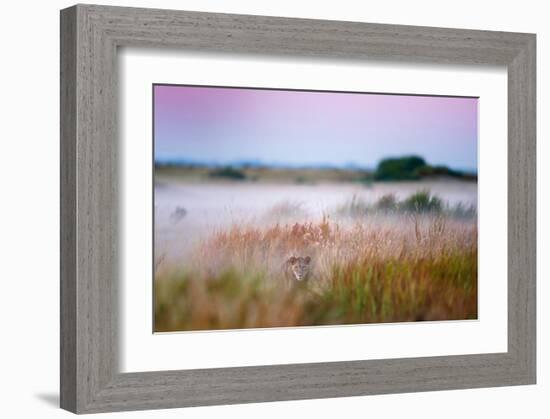 Hide and Seek-null-Framed Art Print