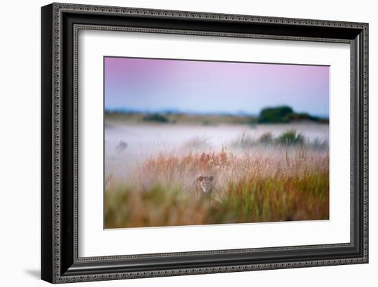 Hide and Seek-null-Framed Art Print