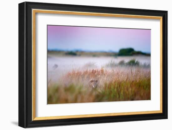 Hide and Seek-null-Framed Art Print