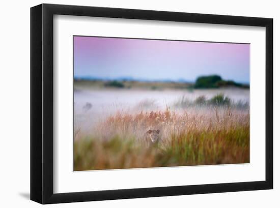 Hide and Seek-null-Framed Art Print