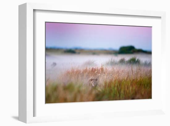 Hide and Seek-null-Framed Art Print