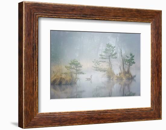 Hide and Seek-Andrew George-Framed Photographic Print