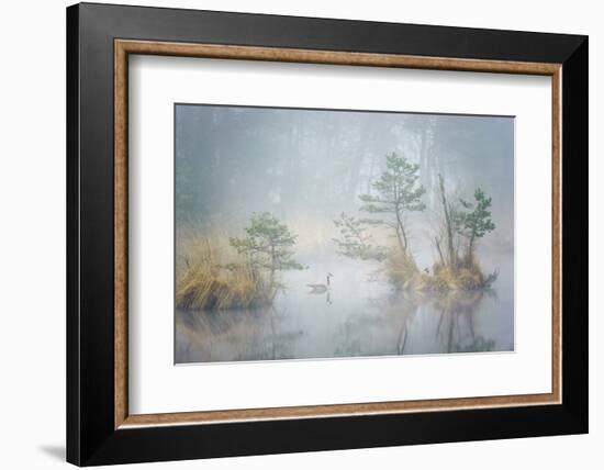 Hide and Seek-Andrew George-Framed Photographic Print