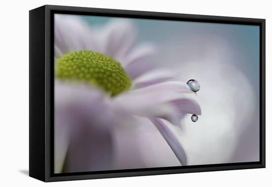 Hide and seek-Heidi Westum-Framed Premier Image Canvas