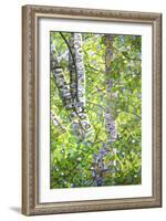 Hide and Seek-Mandy Budan-Framed Giclee Print
