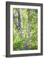 Hide and Seek-Mandy Budan-Framed Giclee Print