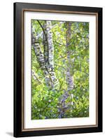 Hide and Seek-Mandy Budan-Framed Giclee Print