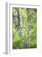 Hide and Seek-Mandy Budan-Framed Giclee Print