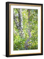Hide and Seek-Mandy Budan-Framed Giclee Print
